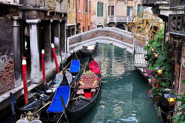 Venice Day Trip from Milan Private Tour by High Speed Train