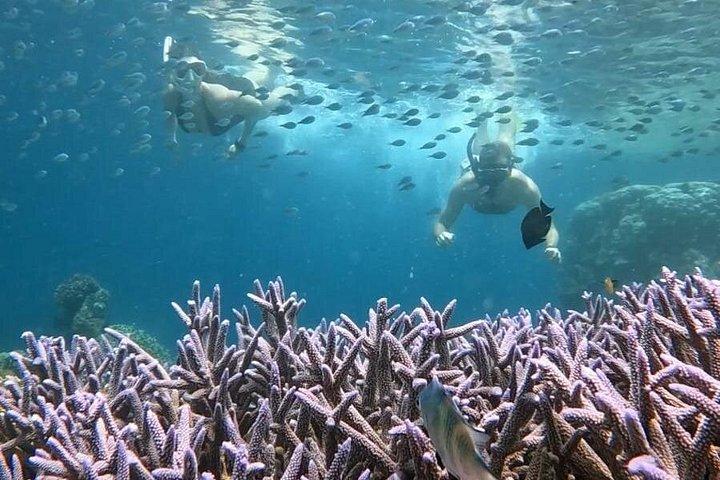 エアメノとトラワンガンのギリ諸島プライベートシュノーケリングツアー