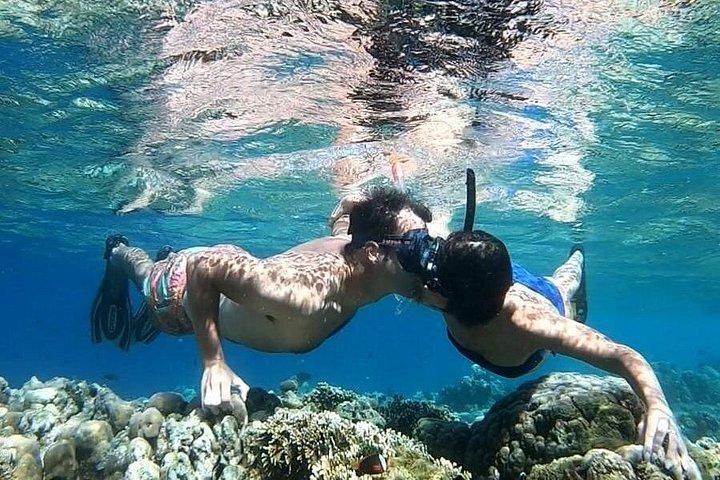 エアメノとトラワンガンのギリ諸島プライベートシュノーケリングツアー