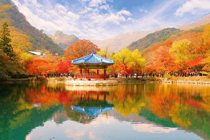 Naejangsan Herbst Laub Tagestour von Seoul oder Busan