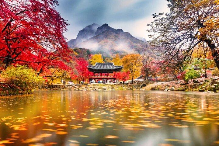 Naejangsan Herbst Laub Tagestour von Seoul oder Busan