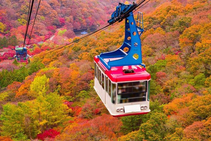 Naejangsan Herbst Laub Tagestour von Seoul oder Busan