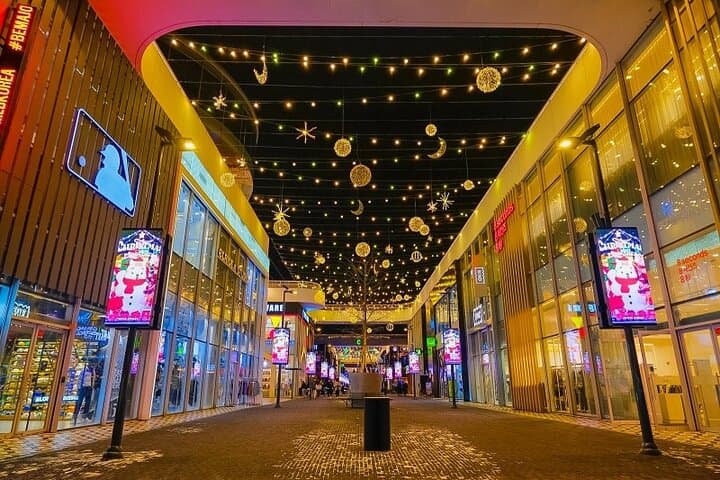Best of Incheon Night Tour Private Experience