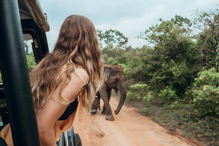 Budget Yala Safari 1 noite albergue e refeições em Tissamaharama
