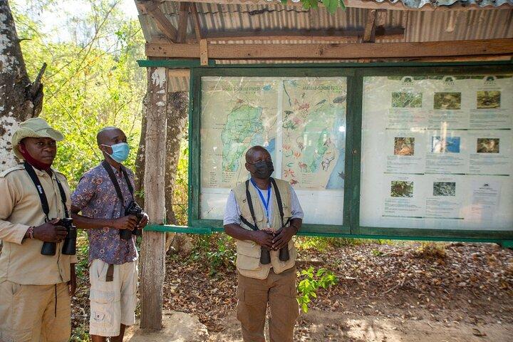 Tour de 3 días por la naturaleza y observación de aves en Kenia