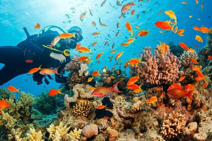 Fuld dag guidet dykning eventyr i Phu Quoc