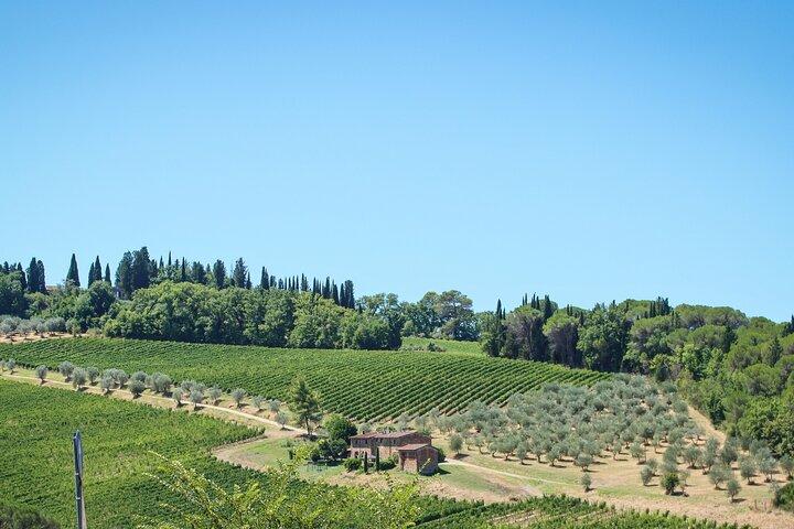 Excursion d'une demi-journée de Florence dans le Chianti avec dégustations de plats toscans