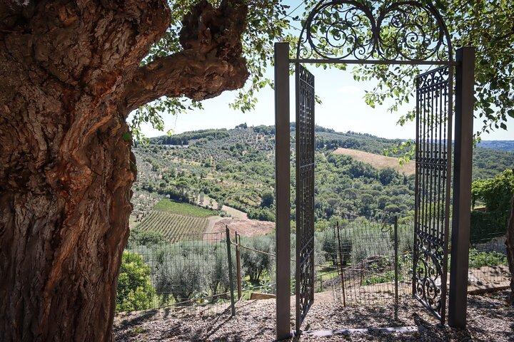 Excursion d'une demi-journée de Florence dans le Chianti avec dégustations de plats toscans