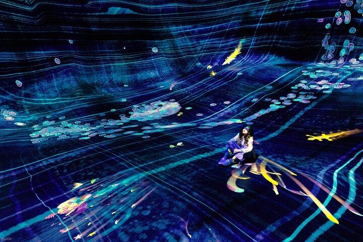 TeamLab Phenomena Abu Dhabi Billet