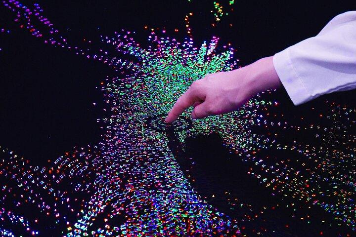 TeamLab Phenomena Abu Dhabi Billet