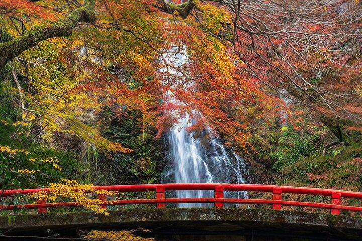 日光プライベート日帰りツアー-英語ガイド-神社、滝、温泉