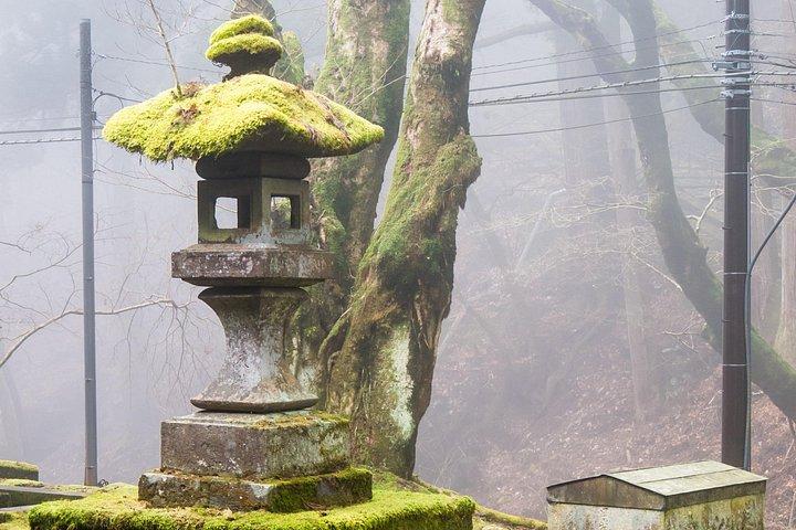 日光プライベート日帰りツアー-英語ガイド-神社、滝、温泉