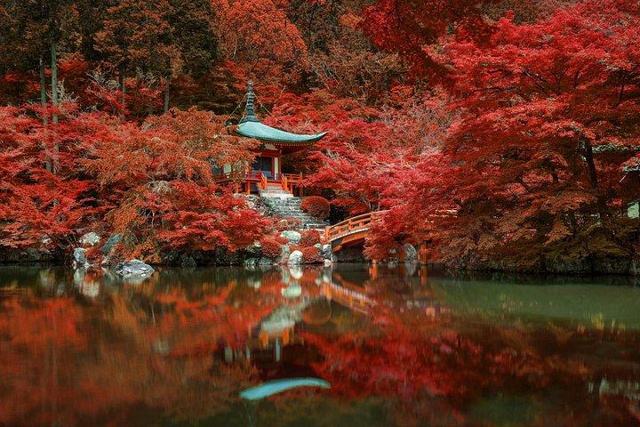 日光プライベート日帰りツアー-英語ガイド-神社、滝、温泉