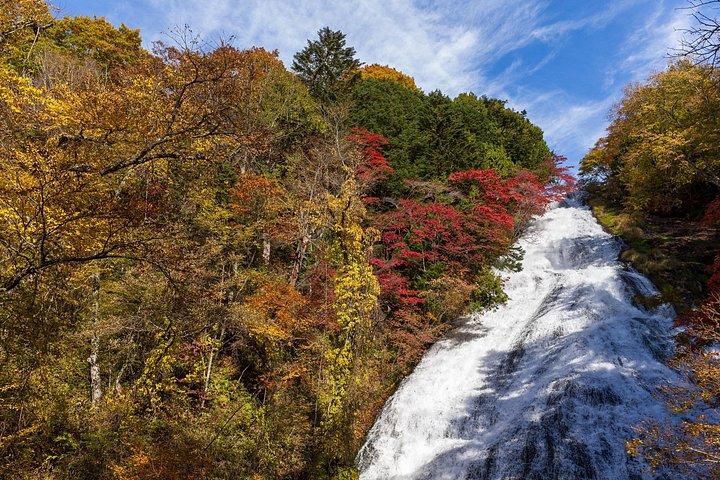 日光プライベート日帰りツアー-英語ガイド-神社、滝、温泉