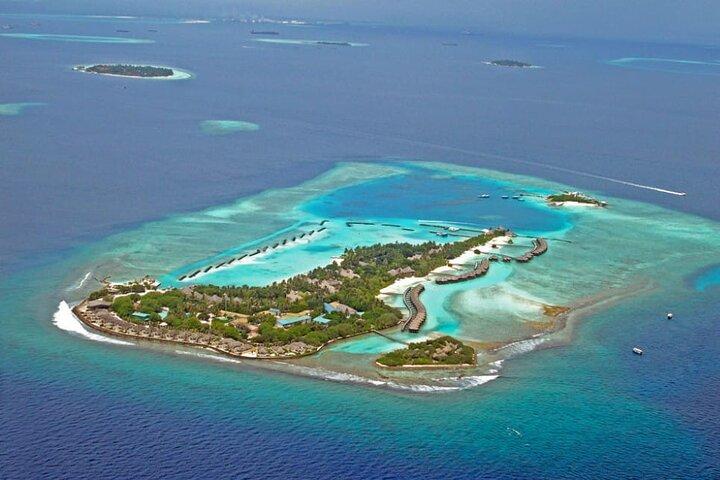 Maldives Dolphin Discovery Cruise en hors-bord