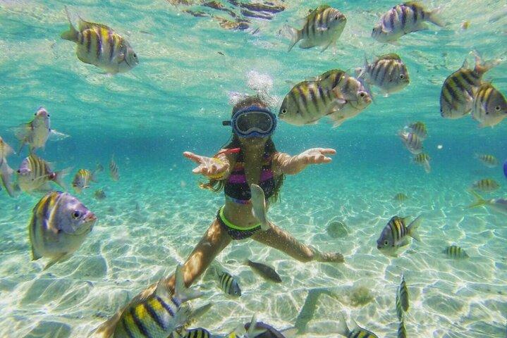 Puerto Plata: Island Escape: Cayo Arena och Mangrove Boat Ride