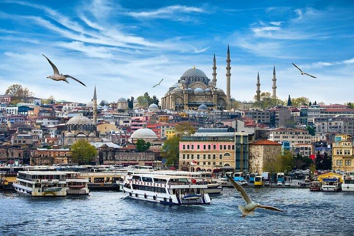 Istanbul Shore Excursion from Istanbul Port Private Tour
