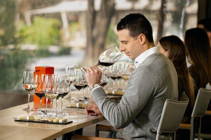 Official Concha y Toro Marques de Casa Concha Wine Experience