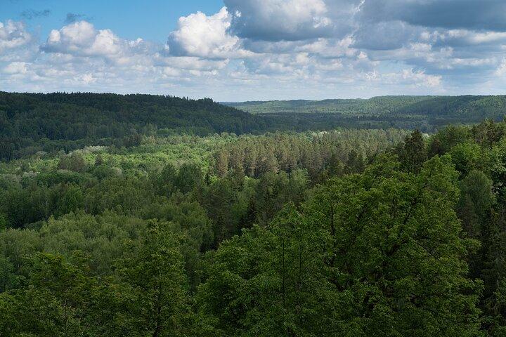 Från Riga: Gauja nationalpark vandring med fotograf i Sigulda