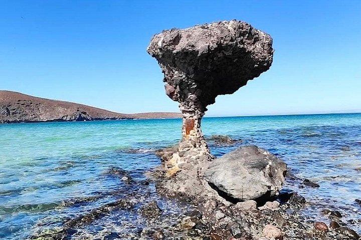 Balandra, Todos Santos