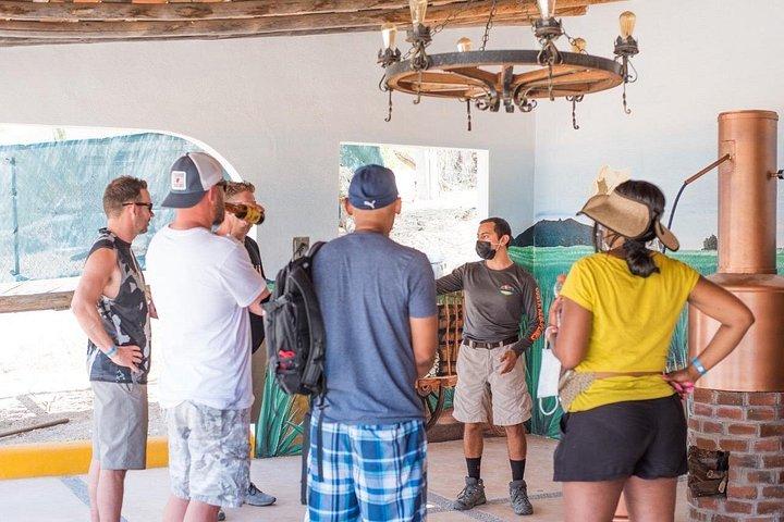 UTV Side by Side Experience and Camel Ride in Los Cabos