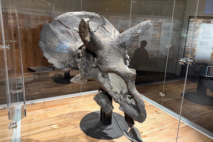 カルガリー発ドラムヘラー＆フードゥー日帰り旅行、バッドランズを探検