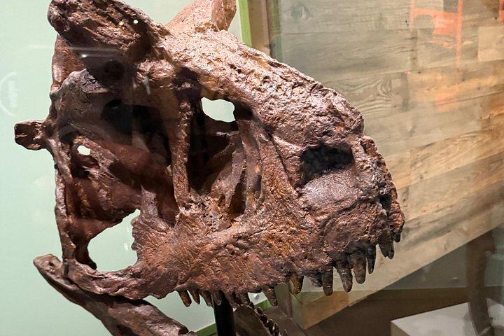 カルガリー発ドラムヘラー＆フードゥー日帰り旅行、バッドランズを探検