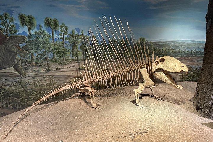 カルガリー発ドラムヘラー＆フードゥー日帰り旅行、バッドランズを探検