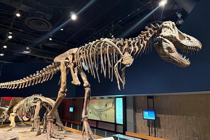 カルガリー発ロイヤルティレル博物館グループツアーバッドランズを探索