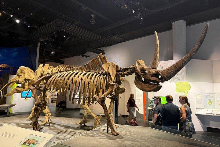 カルガリー発ドラムヘラー＆フードゥー日帰り旅行、バッドランズを探検
