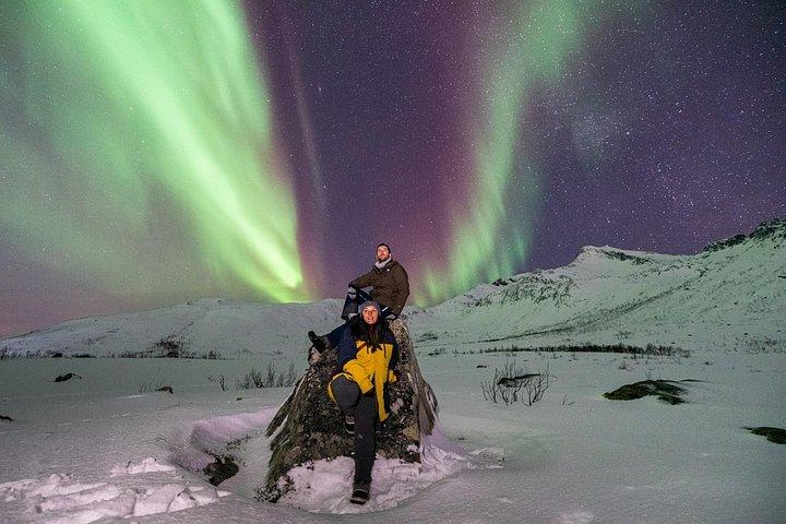 Tromsø : 写真家と行くミニバンによるオーロラツアー