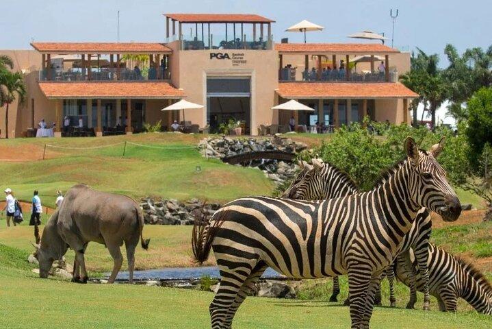 Tsavo East Private 3 - Excursão de um dia