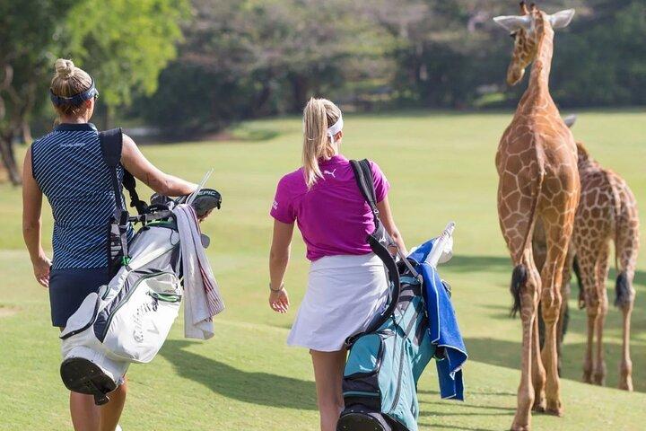 Tsavo East Private 3 - Dagstur