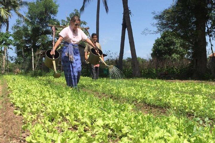Excursão de dia inteiro em Siem Reap Farm com aula de culinária e bênção de monges
