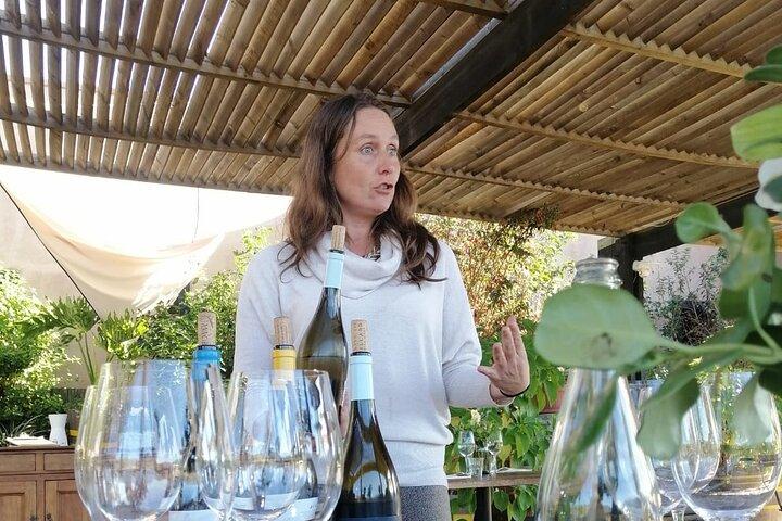 Casablanca-Valley-Organic-Wine-tour