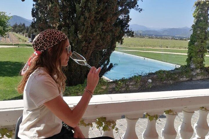 Casablanca-Valley-Organic-Wine-tour