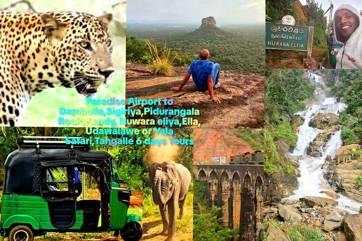 Paradise Sigiriya, Kandy, Nuwara eliya, Ella (Udawalawe / Yala) Tours