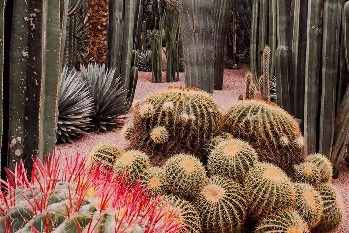 Majorelle garden, berber Museum & St Laurent round trip & tickets