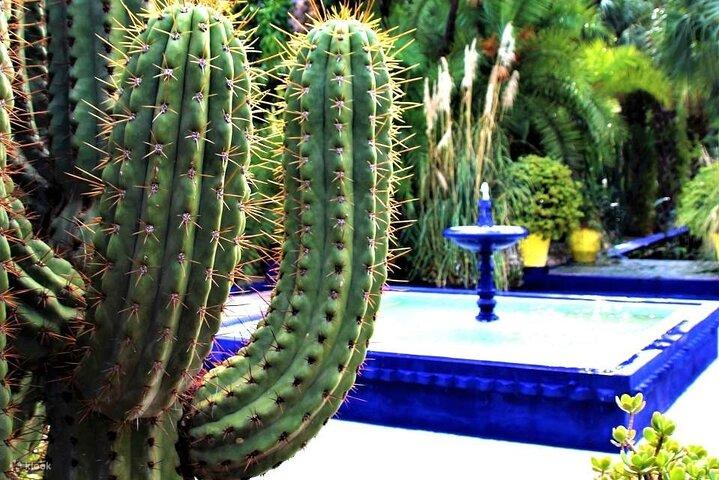 Majorelle garden, berber Museum & St Laurent round trip & tickets