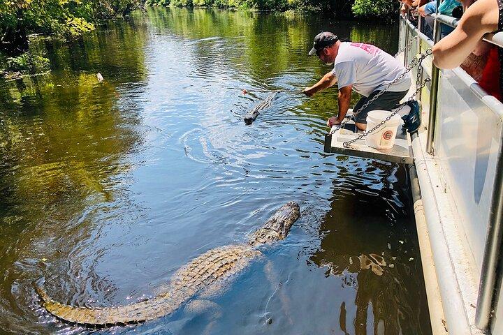 Swamp Boat Ride och Whitney Plantation Tour från New Orleans