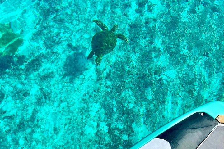 Private Excursion with E-Board in Moorea with snorkeling