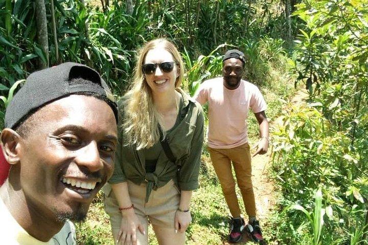 Visit Materuni Waterfall with Chimbo (origin) Point & Coffee Tour