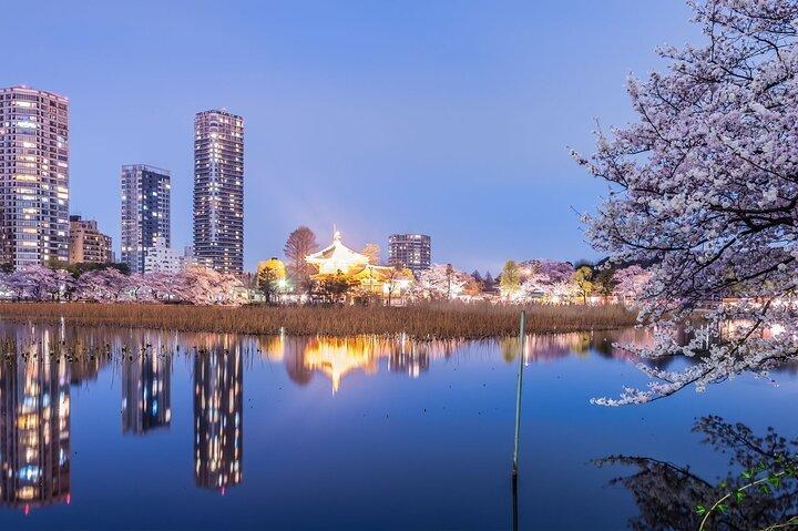 Tokyo Ueno Food & Nature & Localtown Tour : 10Platos + Bebidas