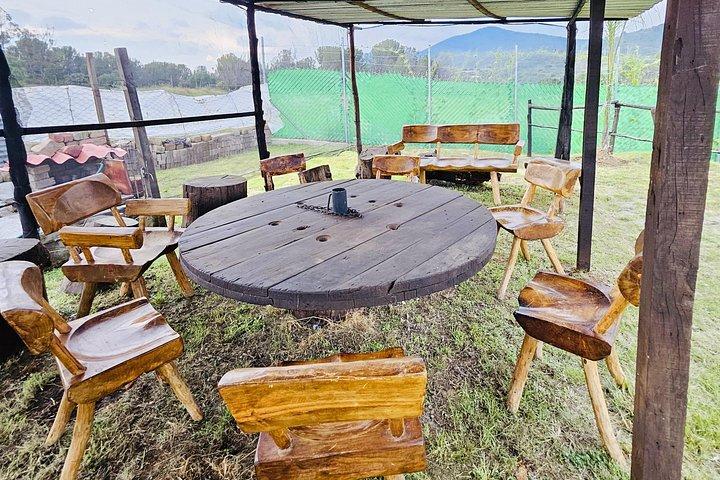 Horseback, Culture & Mexican Flavors Experience