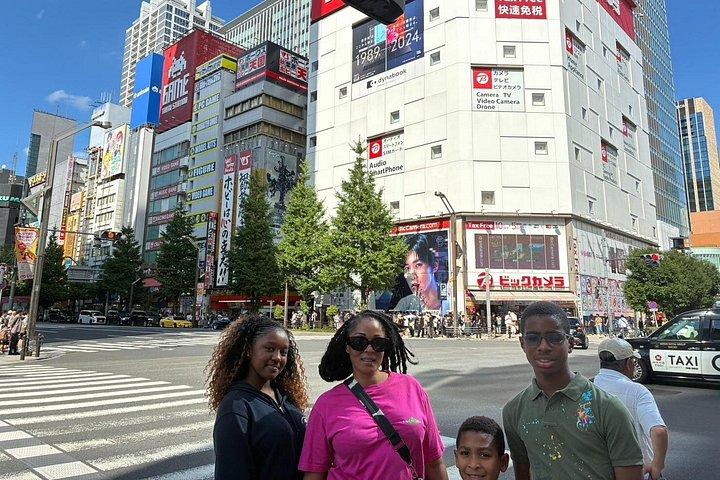 東京 : プライベート秋葉原アニメ＆ゲーム散歩ツアー