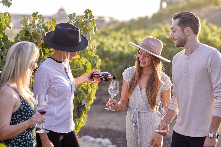 Europa Village Wine Tour, Food Pairing & Wine Bunding Experience