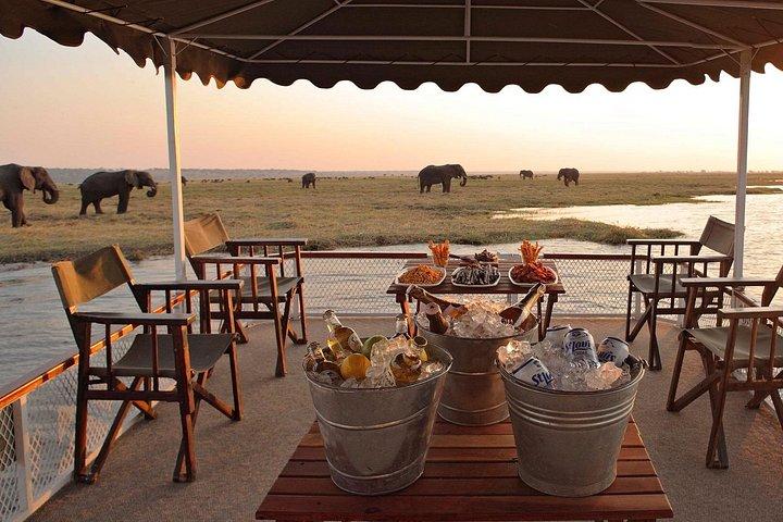 Chobe Full Day Trip from Victoria Falls
