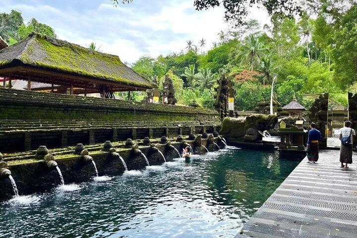 Tour Privado em Ubud: Waterfalls, Temple and Rice Terraces Swing
