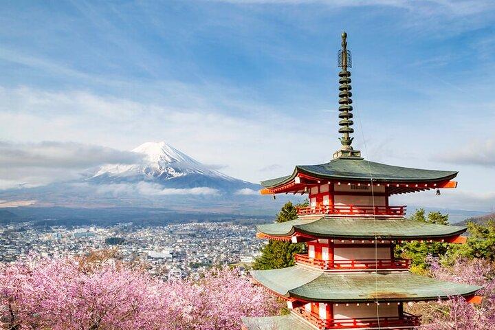 Från Tokyo: Mount Fuji Privat skräddarsydd tur med Engelska Guide