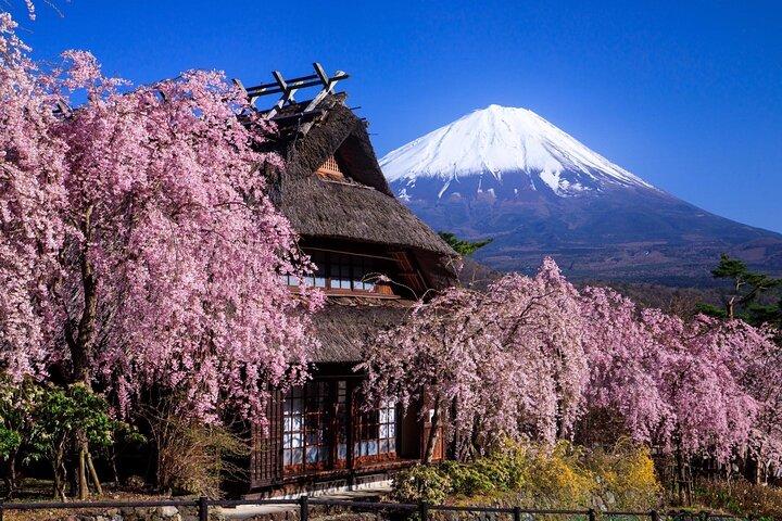 Visita ao Monte Fuji com Almoço Halal e Tempo de Oração
